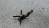 Hubschrauber getarnt (1 St.) GB Tri-ang